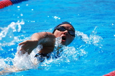 Enlarge photo 417