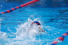 Enlarge photo 434