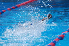 Enlarge photo 439