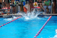 Enlarge photo 442