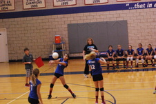 Enlarge photo 54