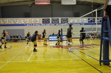 Enlarge photo 441