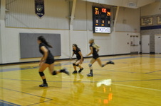 Enlarge photo 483
