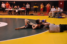 Enlarge photo 71