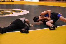 Enlarge photo 93