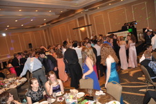 Enlarge photo 203