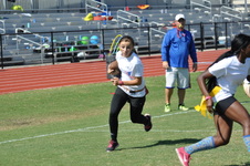 Enlarge photo 152