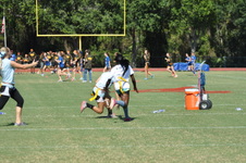 Enlarge photo 177