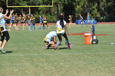 Enlarge photo 179
