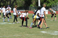 Enlarge photo 255