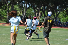 Enlarge photo 407
