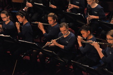 Enlarge photo 46