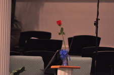 Enlarge photo 115