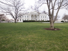 Enlarge photo 191