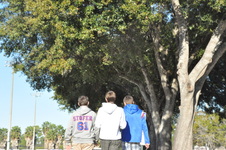 Enlarge photo 82