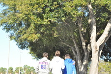 Enlarge photo 84