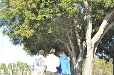 Enlarge photo 85