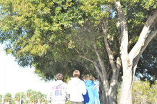Enlarge photo 87