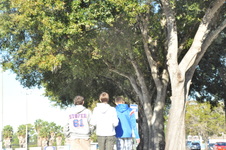 Enlarge photo 86