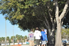 Enlarge photo 90