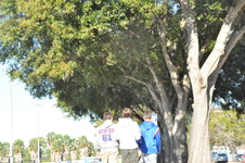 Enlarge photo 91