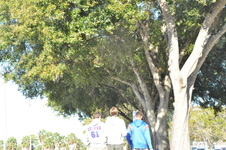 Enlarge photo 92