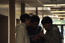 Enlarge photo 121