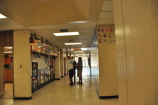 Enlarge photo 137