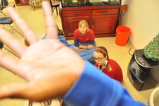 Enlarge photo 164