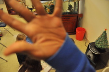 Enlarge photo 168