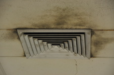 Enlarge photo 175