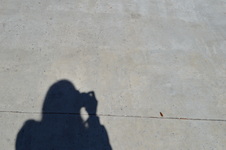 Enlarge photo 36