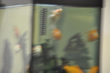 Enlarge photo 177