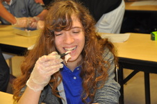 Enlarge photo 8