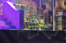 Enlarge photo 25