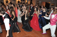 Enlarge photo 423