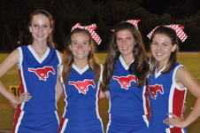 Indian Rocks FB Game