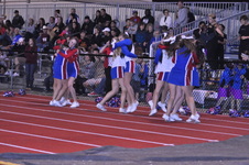 Enlarge photo 43