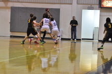 Enlarge photo 47