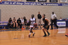 Enlarge photo 113