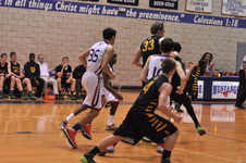 Enlarge photo 175