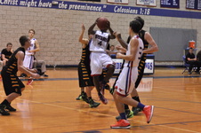 Enlarge photo 192