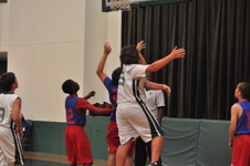 Enlarge photo 51