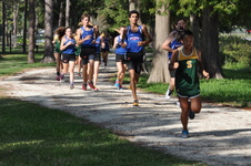 Enlarge photo 14
