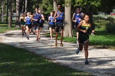 Enlarge photo 15