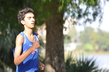 Enlarge photo 52
