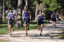 Enlarge photo 61