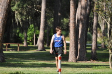 Enlarge photo 129