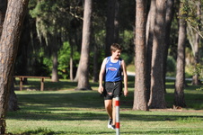 Enlarge photo 130