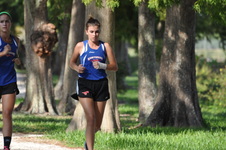 Enlarge photo 153